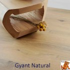 Gyant Natural 62002204