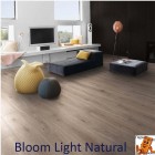 Bloom Light Natural 62002375