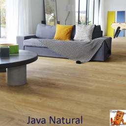 Java Natural 62002381