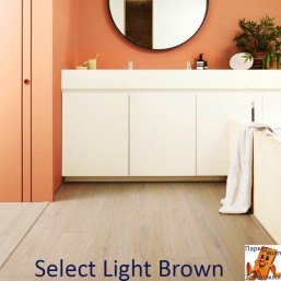 Select Light Brown 62002384