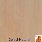 Select Natural 62002385