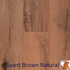 Gyant Brown Natural 62002388