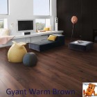 Gyant Warm Brown 62002389