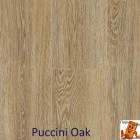 Puccini Oak 62002265
