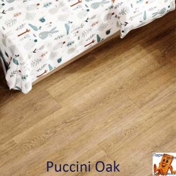 Puccini Oak 62002265