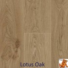 Lotus Oak 62002266