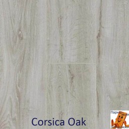 Corsica Oak 62002269