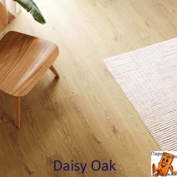 Daisy Oak 62002274