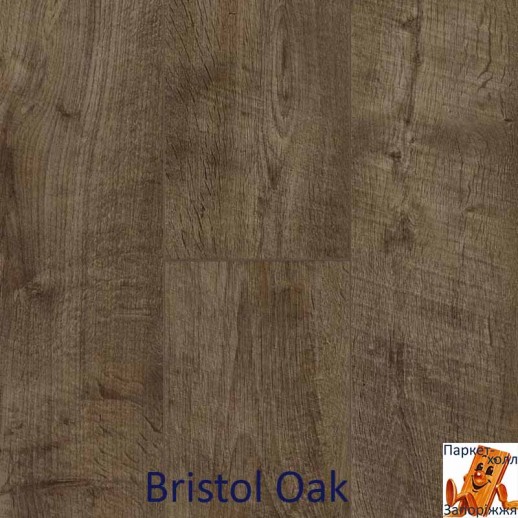 Bristol Oak 62002277