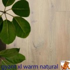 Gyant Xl Warm Natural 62002511