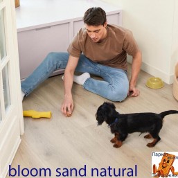 Bloom Sand Natural 62002462