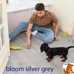 Bloom Silver Grey 62002463