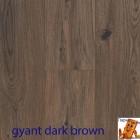 Gyant Dark Brown 62002036