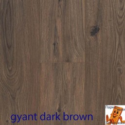 Gyant Dark Brown 62002036