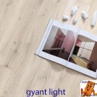 Gyant Light 62001318