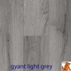 Gyant Light Grey 62002037