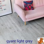 Gyant Light Grey 62002037