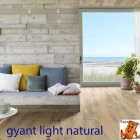 Gyant Light Natural 62002478