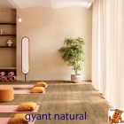 Gyant Natural 62001319