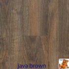 Java Brown 62002483