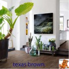 Texas Brown 62001329