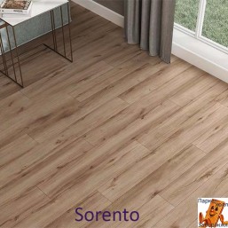 Sorento PRK301