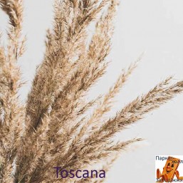 Toscana PRK306