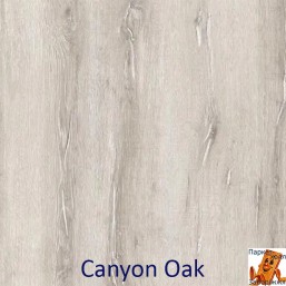 Canyon Oak PRK201