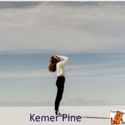 Kemer Pine PRK006