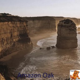 Amazon Oak PRK513