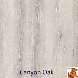 Canyon Oak