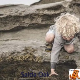 Salda Oak PRK510