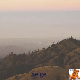 Selge PRK504
