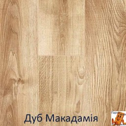 Дуб Макадамия 00431