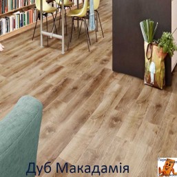 Дуб Макадамия 00431