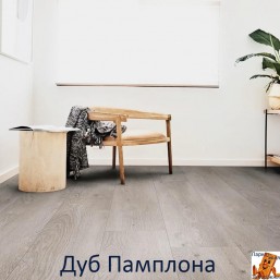 Дуб Памплона 00403