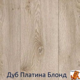Дуб Платина Блонд 00536 Дуб Платина Блонд 00536
