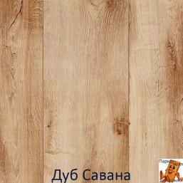 Дуб Саванна 00533