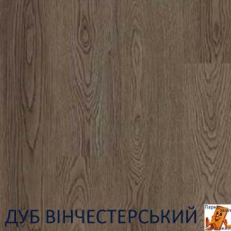 Дуб Винчестерский 00450