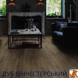 Дуб Винчестерский 00450