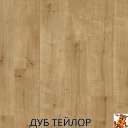 Дуб Тейлор 00355