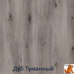 Дуб Туманний 00356 Дуб Туманний 00356