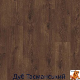 Дуб Тасманський