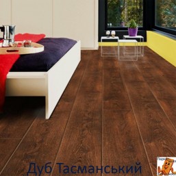 Дуб Тасманський