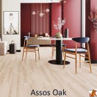 Assos Oak