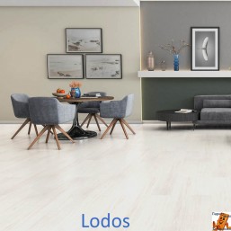 Lodos