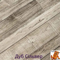 Дуб Сільвер 94013