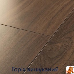Горіх вишуканий