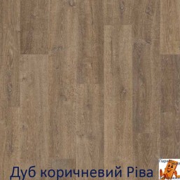 Дуб коричневый рива