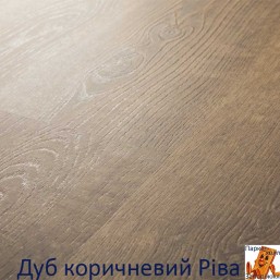 Дуб коричневый рива